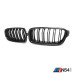BMW F30 3 Series (2012-2016) Carbon Fiber / ABS Double Slat Front Grille