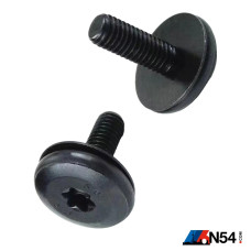Front Bumper Torx Bolt for BMW (T30)